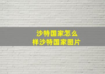 沙特国家怎么样沙特国家图片