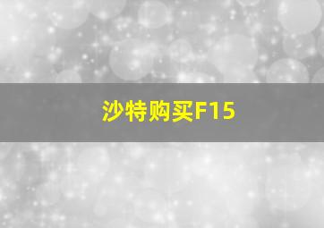 沙特购买F15