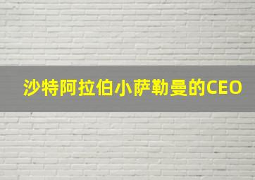 沙特阿拉伯小萨勒曼的CEO