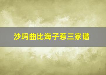 沙玛曲比海子惹三家谱