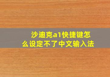 沙迪克a1快捷键怎么设定不了中文输入法