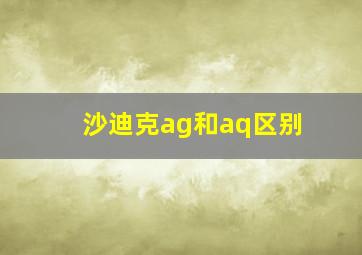 沙迪克ag和aq区别