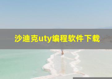 沙迪克uty编程软件下载