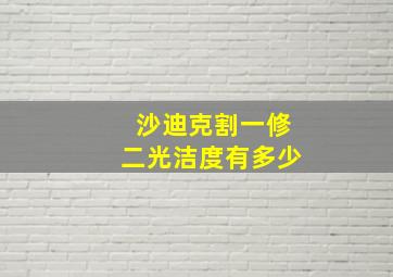 沙迪克割一修二光洁度有多少