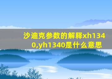 沙迪克参数的解释xh1340,yh1340是什么意思