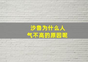 沙鲁为什么人气不高的原因呢