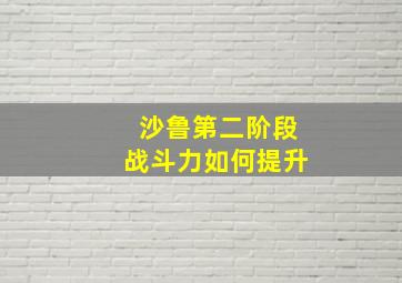 沙鲁第二阶段战斗力如何提升