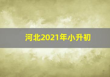 河北2021年小升初