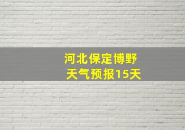 河北保定博野天气预报15天