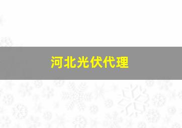 河北光伏代理