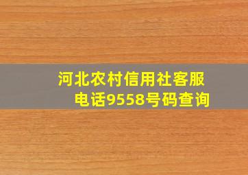 河北农村信用社客服电话9558号码查询