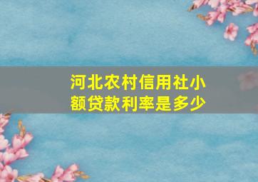 河北农村信用社小额贷款利率是多少