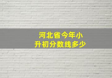 河北省今年小升初分数线多少