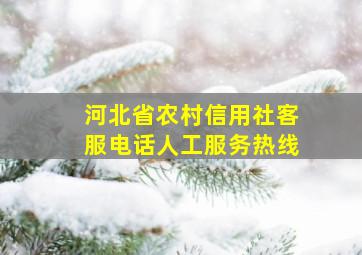 河北省农村信用社客服电话人工服务热线