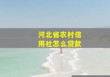 河北省农村信用社怎么贷款