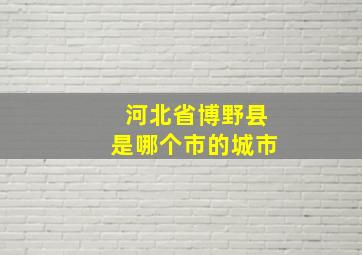 河北省博野县是哪个市的城市