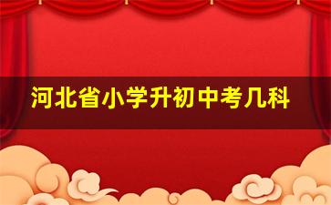 河北省小学升初中考几科