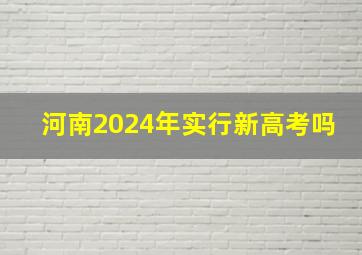 河南2024年实行新高考吗