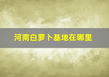 河南白萝卜基地在哪里