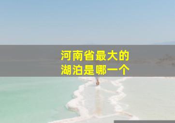 河南省最大的湖泊是哪一个