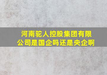 河南驼人控股集团有限公司是国企吗还是央企啊