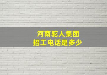 河南驼人集团招工电话是多少