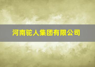 河南驼人集团有限公司