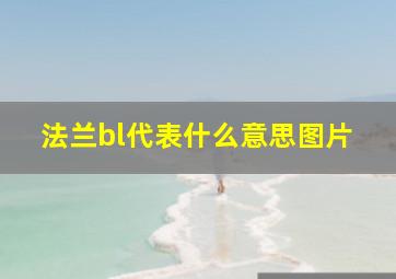 法兰bl代表什么意思图片