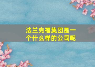 法兰克福集团是一个什么样的公司呢