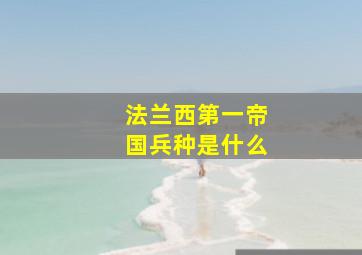 法兰西第一帝国兵种是什么