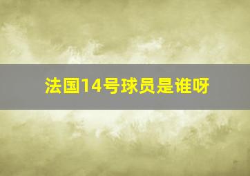 法国14号球员是谁呀