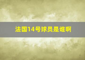 法国14号球员是谁啊