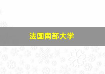 法国南部大学