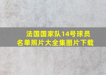 法国国家队14号球员名单照片大全集图片下载