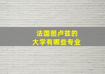 法国图卢兹的大学有哪些专业