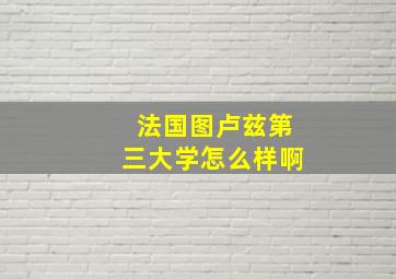 法国图卢兹第三大学怎么样啊