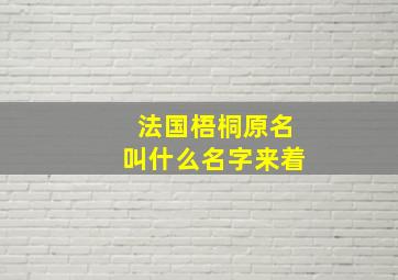 法国梧桐原名叫什么名字来着