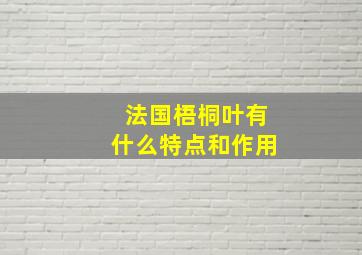 法国梧桐叶有什么特点和作用