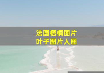 法国梧桐图片叶子图片人图