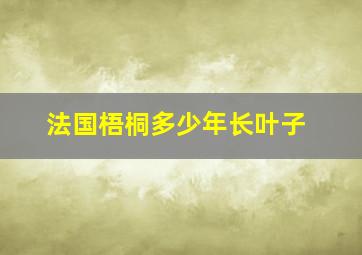 法国梧桐多少年长叶子