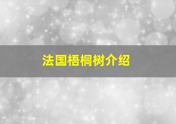 法国梧桐树介绍