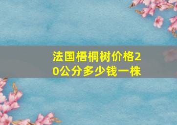 法国梧桐树价格20公分多少钱一株