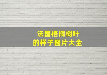 法国梧桐树叶的样子图片大全