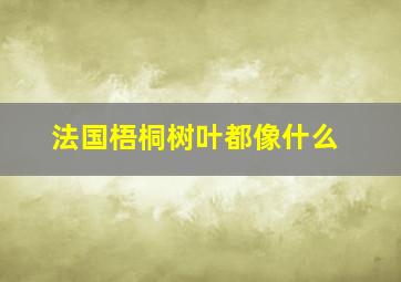 法国梧桐树叶都像什么