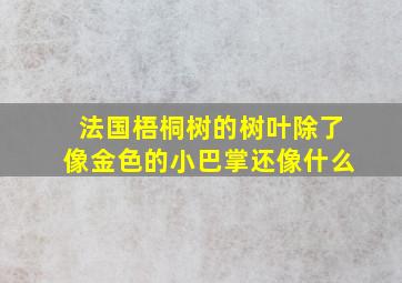 法国梧桐树的树叶除了像金色的小巴掌还像什么