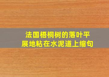 法国梧桐树的落叶平展地粘在水泥道上缩句