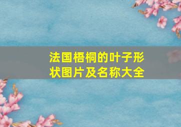 法国梧桐的叶子形状图片及名称大全