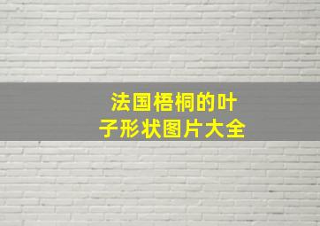 法国梧桐的叶子形状图片大全