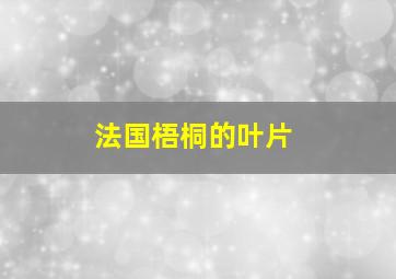 法国梧桐的叶片