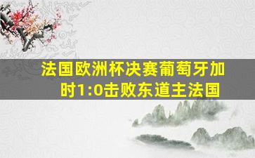 法国欧洲杯决赛葡萄牙加时1:0击败东道主法国